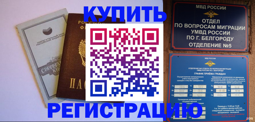 прописка гарантия в Сланцах
